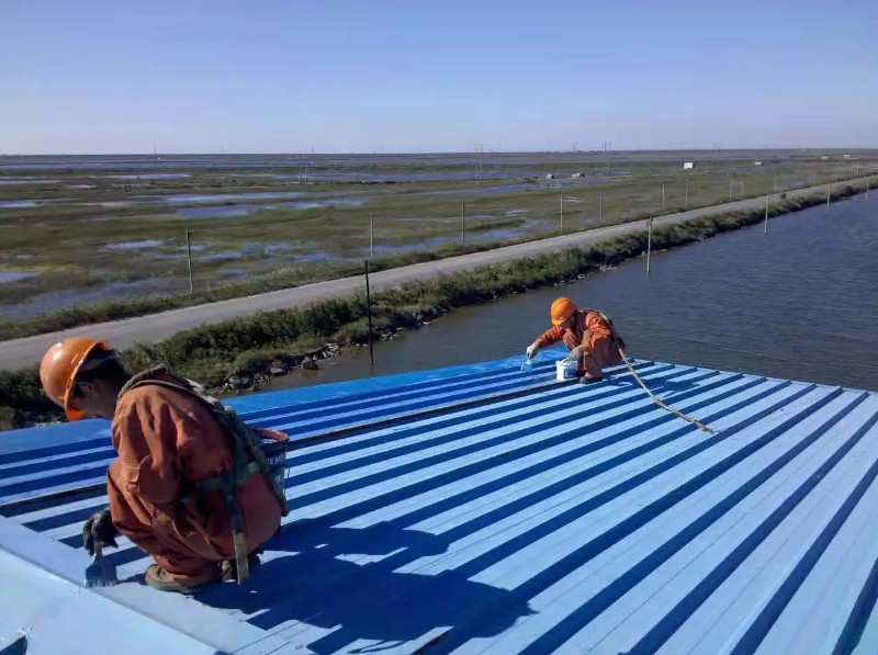 咸宁彩钢瓦屋面防腐翻新